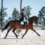stableview_dressage-9204